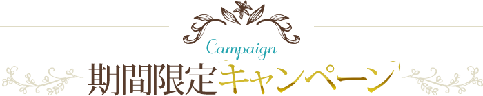 期間限定キャンペーン